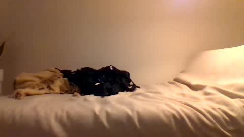 Snapshot of booty4pegging chatting on March 2025 05:39:02 PM booty4pegging online show from March 2025 05:39:02 PM