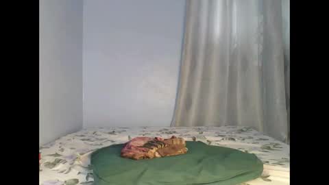 sandrah online show from September 2025 06:50:02 AM