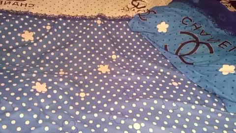 Snapshot of bossetassy chatting on December 2025 04:45:02 PM bossetassy online show from December 2025 04:45:02 PM