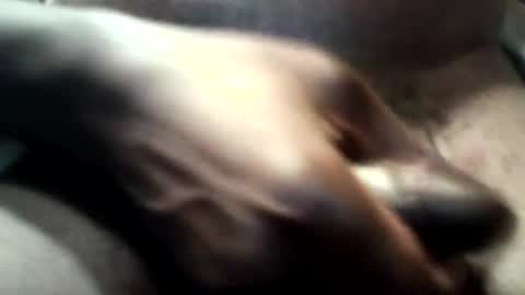 botofogo online show from October 2025 03:46:02 PM