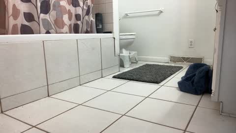 Snapshot of boysetsfire34 chatting on January 2025 12:55:02 AM boysetsfire34 online show from January 2025 12:55:02 AM