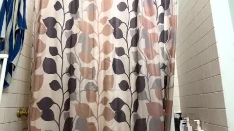 Snapshot of boysetsfire34 chatting on January 2025 12:46:01 AM boysetsfire34 online show from January 2025 12:46:01 AM