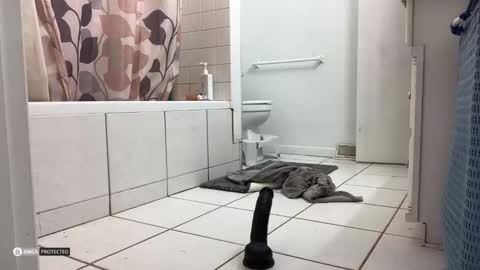 Snapshot of boysetsfire34 chatting on October 2025 05:16:02 AM boysetsfire34 online show from October 2025 05:16:02 AM