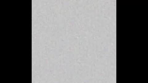 bradkith27 online show from November 2025 07:52:02 PM