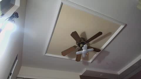 bradkith27 online show from November 2025 02:23:01 AM