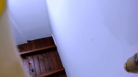 Snapshot of brand_hades chatting on October 2025 02:03:02 PM B R A N D online show from October 2025 02:03:02 PM