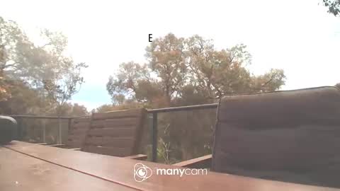 Snapshot of bridie3079 chatting on October 2025 02:01:02 AM Fun Monster online show from October 2025 02:01:02 AM