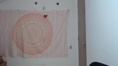 Snapshot of brisama chatting on March 2025 11:59:02 PM brisama online show from March 2025 11:59:02 PM