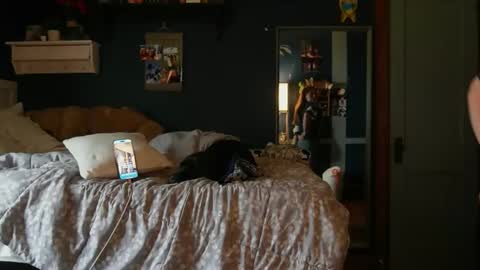 brunettebaby040 online show from October 2025 04:47:01 PM