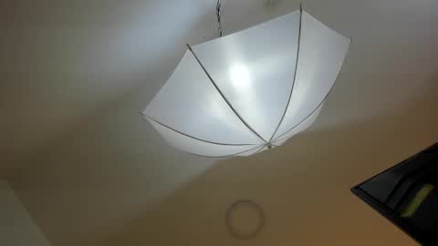 Snapshot of bryannamiller chatting on November 2025 11:54:01 AM bryannamiller online show from November 2025 11:54:01 AM