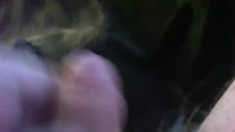 Snapshot of bullemoe chatting on January 2025 02:11:01 PM bullemoe online show from January 2025 02:11:01 PM