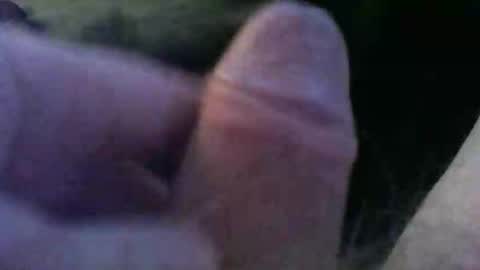 bullemoe online show from October 2025 06:03:02 AM