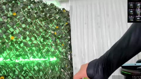 Snapshot of bunnyhots chatting on December 2024 08:49:02 AM Angela Santini online show from December 2024 08:49:02 AM