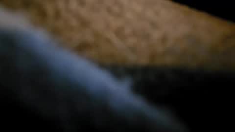 bunnynclyde8181 online show from September 2025 12:37:02 PM