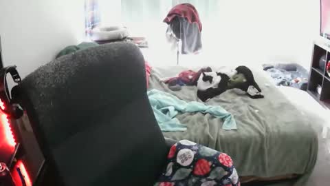 Snapshot of bxbydior chatting on December 2025 07:53:02 PM bxbydior online show from December 2025 07:53:02 PM