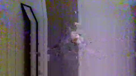 c95uk online show from October 2025 01:21:01 PM