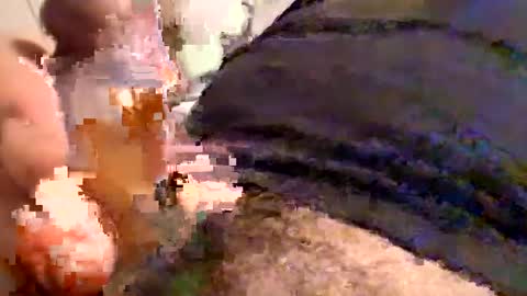 Snapshot of cactus_1041 chatting on December 2024 05:58:02 AM Cactus1041 online show from December 2024 05:58:02 AM