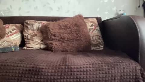 Snapshot of call_me_dad_ chatting on December 2024 10:22:01 AM Anna online show from December 2024 10:22:01 AM