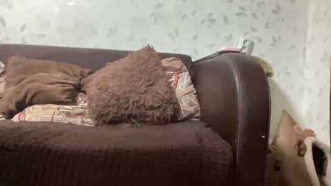 Snapshot of call_me_dad_ chatting on September 2025 06:31:02 PM Anna online show from September 2025 06:31:02 PM