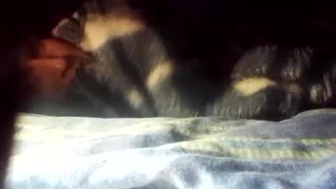 Mara Catalina Romero Ordez online show from January 2025 07:52:01 AM