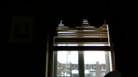 hunk online show from January 2025 01:28:01 PM