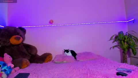 Snapshot of canndy88htx chatting on October 2025 01:37:02 AM Onika instagram canndy888 online show from October 2025 01:37:02 AM