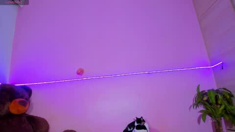 Snapshot of canndy88htx chatting on November 2025 02:36:01 AM Onika instagram canndy888 online show from November 2025 02:36:01 AM