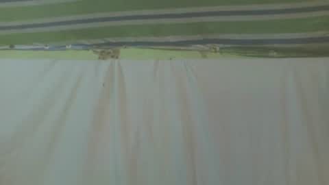 carinesexy69 online show from October 2025 11:39:01 AM