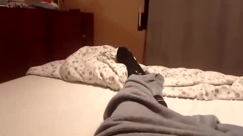 carlitito1 online show from October 2025 07:17:01 AM