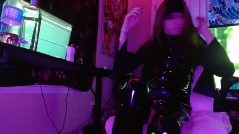 Cat online show from January 2025 07:49:01 AM