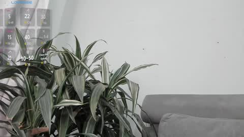 carolina_t online show from January 2025 12:59:01 AM