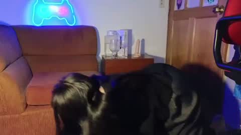 Snapshot of caroll_luna chatting on December 2024 05:15:01 AM kitty online show from December 2024 05:15:01 AM