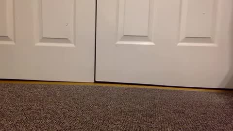 cash13bychanel online show from January 2025 05:56:01 AM