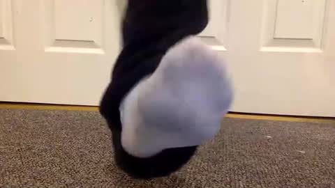 cash13bychanel online show from January 2025 01:41:02 AM