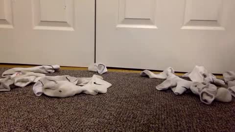 cash13bychanel online show from February 2025 03:07:01 AM