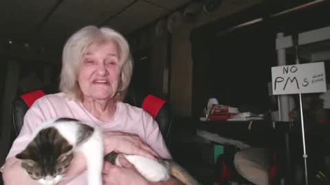 Snapshot of cat9paw chatting on February 2025 09:31:01 PM cat online show from February 2025 09:31:01 PM