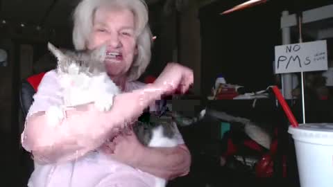 Snapshot of cat9paw chatting on February 2025 06:26:01 PM cat online show from February 2025 06:26:01 PM
