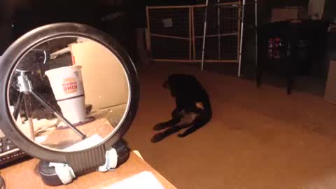 Snapshot of cat9paw chatting on September 2025 06:30:01 PM cat online show from September 2025 06:30:01 PM