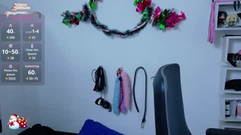 Cata online show from December 2024 12:03:01 PM