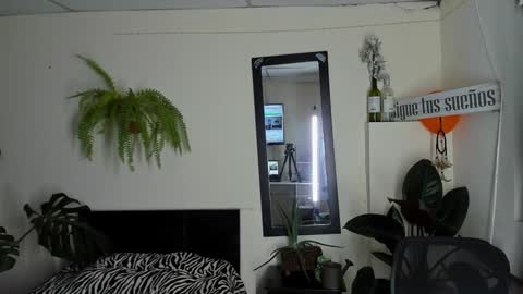 Snapshot of catalinalince chatting on December 2024 11:09:01 PM Cataina Lince online show from December 2024 11:09:01 PM