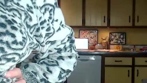 CATALYSTIC online show from October 2025 12:56:02 PM