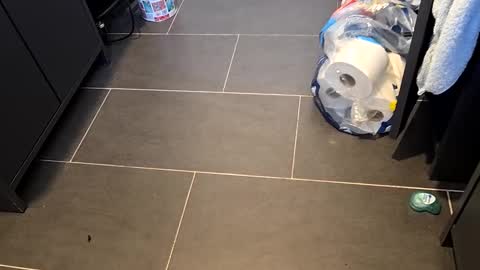 Telegram ldl123 online show from March 2025 03:24:01 PM