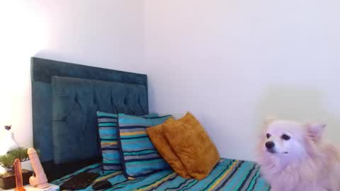 Snapshot of cedrixx10 chatting on November 2025 10:32:02 PM Cedrixx10 online show from November 2025 10:32:02 PM