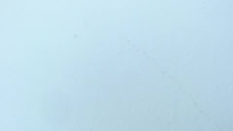 Snapshot of celiani_caleb chatting on November 2025 03:08:02 AM celiani_caleb online show from November 2025 03:08:02 AM