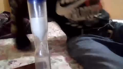 Snapshot of chanok33 chatting on February 2025 05:34:02 AM chanok33 online show from February 2025 05:34:02 AM