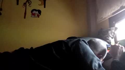 mueca online show from November 2025 03:26:02 PM