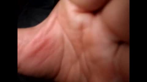 1 online show from December 2024 04:54:02 AM