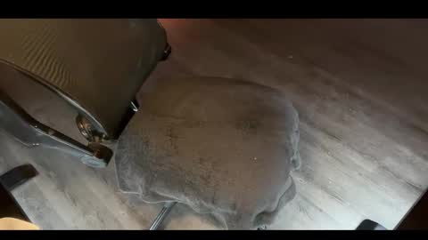 Snapshot of charlietango_live chatting on November 2025 02:01:02 AM CharlieTango Live online show from November 2025 02:01:02 AM