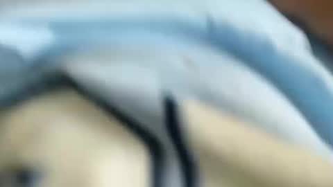 domenic online show from January 2025 03:00:01 PM