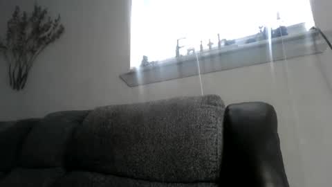 Snapshot of chino880172 chatting on February 2025 04:21:02 PM CHINO online show from February 2025 04:21:02 PM